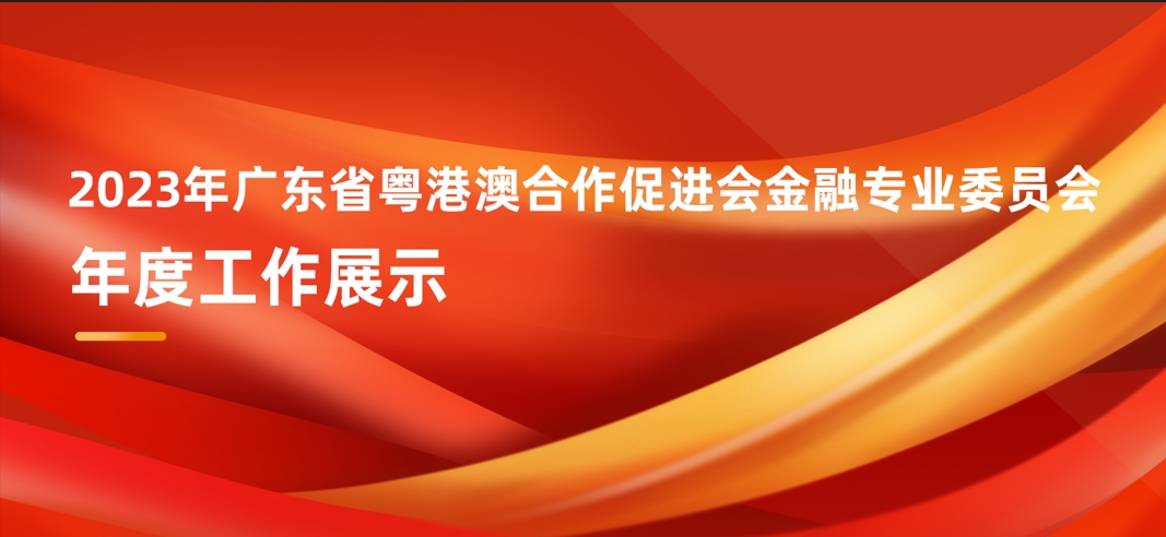 2023年广东省粤港澳合作促进会金融专业委员会年度工作展示